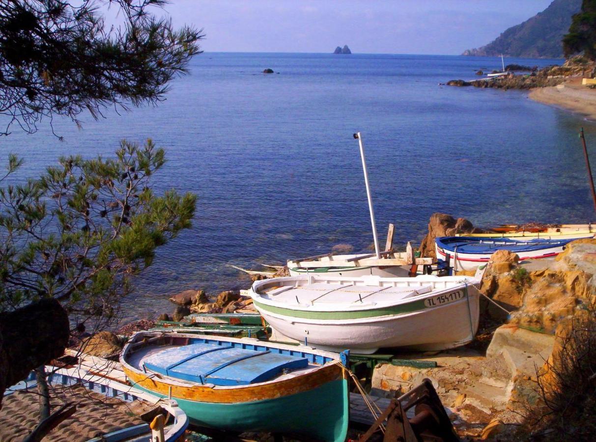 "L'Hippocampe", Climatise, 60 M2 , 2 Chambres, Tres Calme, Plage Des Sablettes Et Commerces A 3 Minutes A Pied, Wifi, Parking Gratuit, Lit King Size La Seyne-sur-Mer Exterior foto