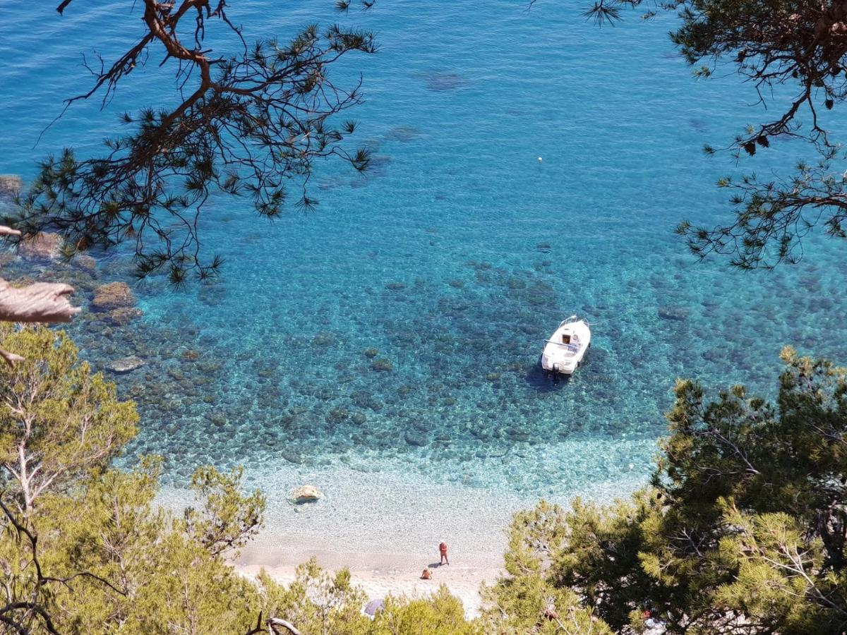 "L'Hippocampe", Climatise, 60 M2 , 2 Chambres, Tres Calme, Plage Des Sablettes Et Commerces A 3 Minutes A Pied, Wifi, Parking Gratuit, Lit King Size La Seyne-sur-Mer Exterior foto